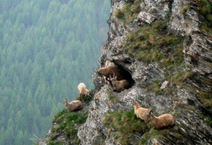 Bed & Breakfast Barba Bertu