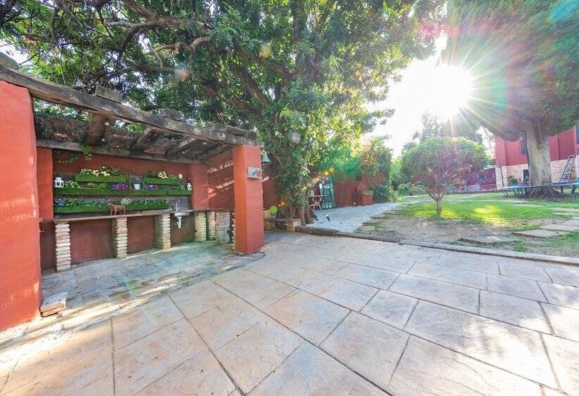 Casa Paraiso Boutique B&b