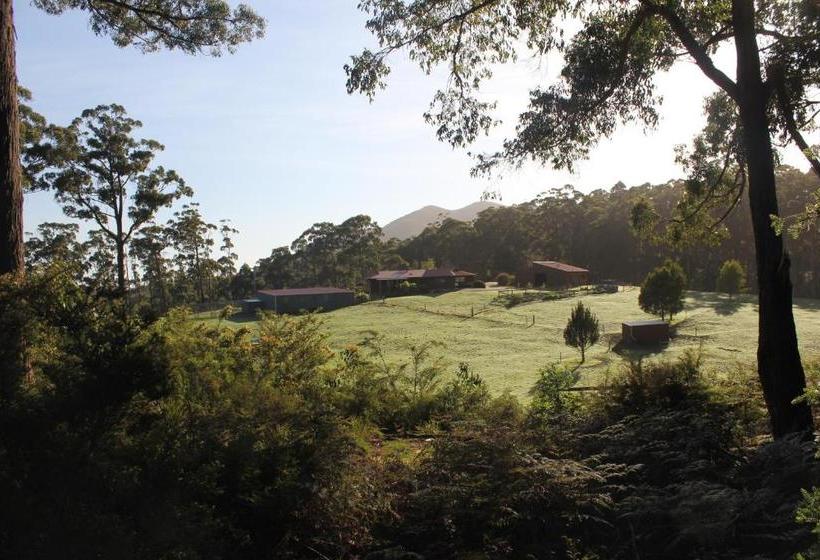 Eagle's Roost Farmstay B&b