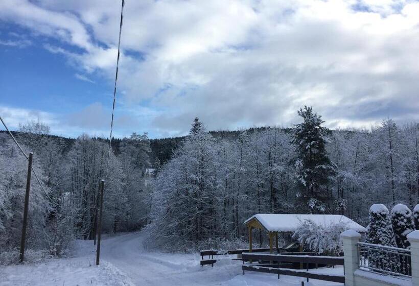 Gasthof & Pension Brettmühle