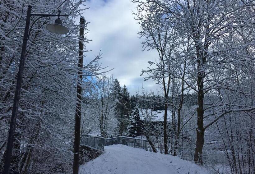 Gasthof & Pension Brettmühle