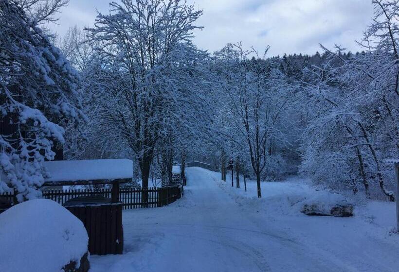 Gasthof & Pension Brettmühle