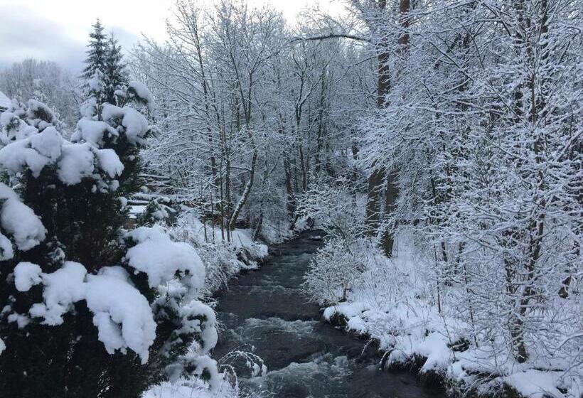 Gasthof & Pension Brettmühle