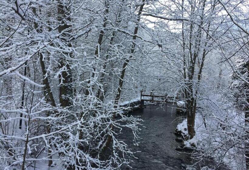 Gasthof & Pension Brettmühle