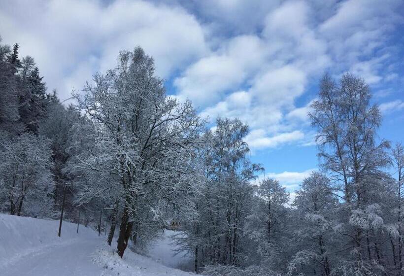 Gasthof & Pension Brettmühle