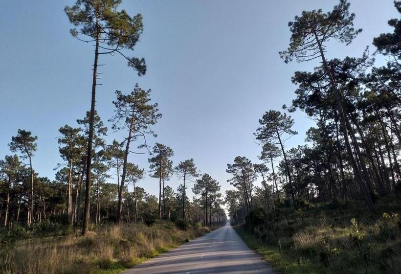 Greenside Of Sea Hostel