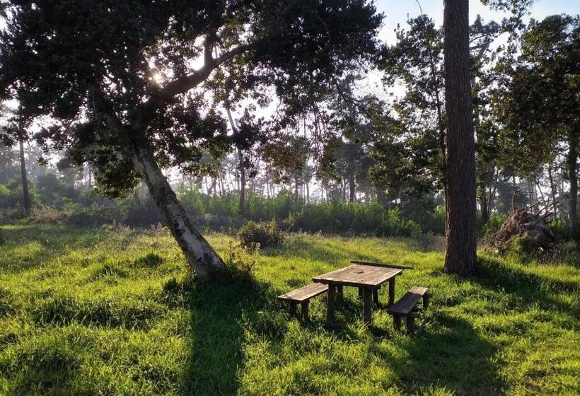 Greenside Of Sea Hostel