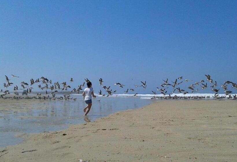 Greenside Of Sea Hostel