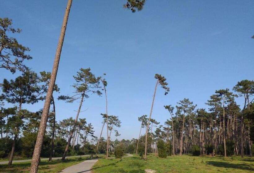 Greenside Of Sea Hostel