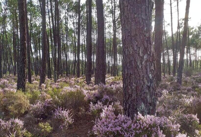 Greenside Of Sea Hostel