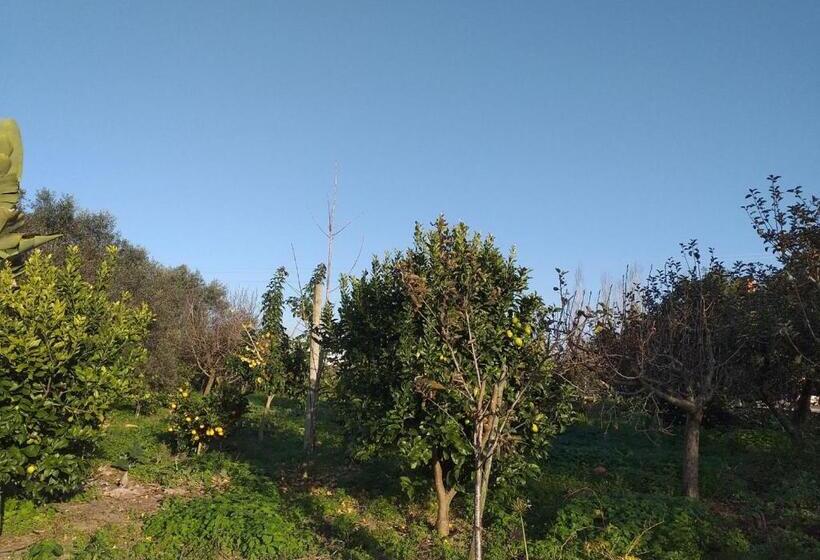 Greenside Of Sea Hostel