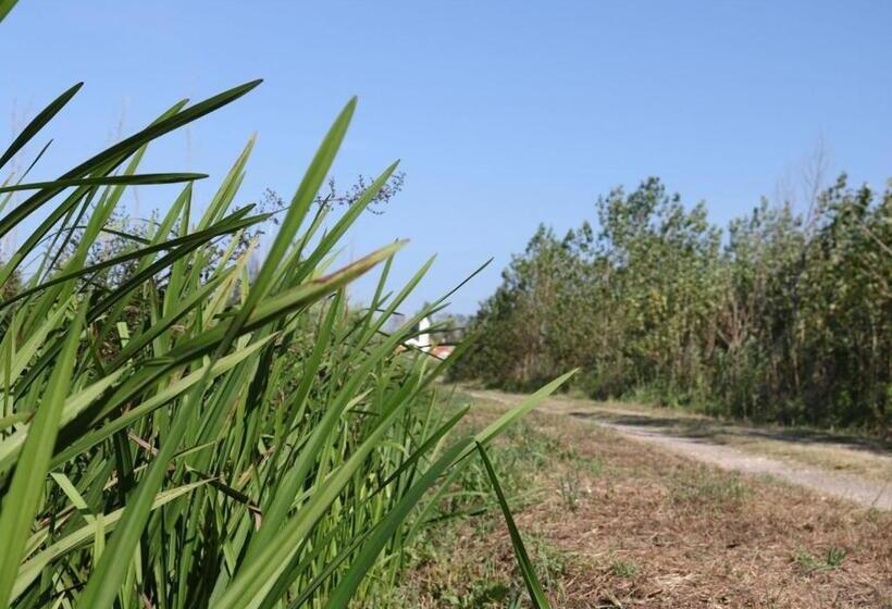 Greenside Of Sea Hostel