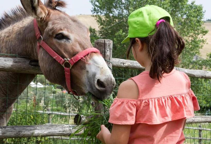 فندق Agriturismo Vecchio Gelso
