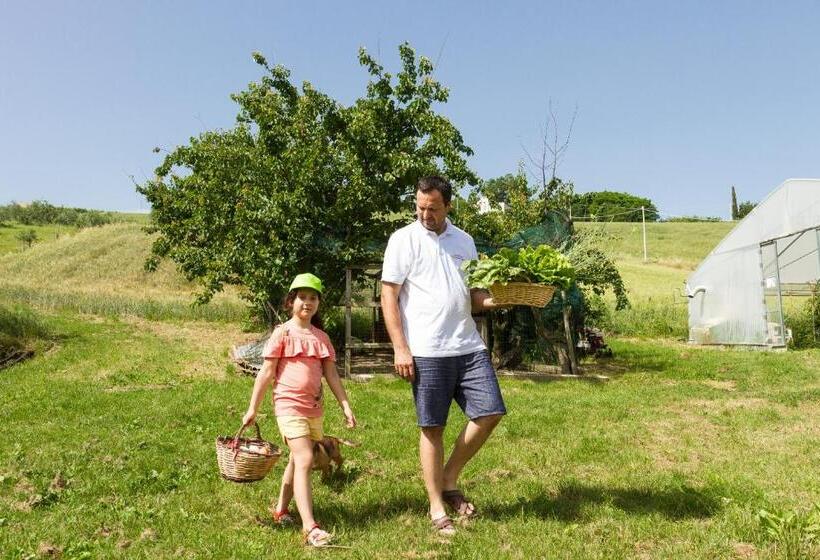 בית מלון כפרי Agriturismo Vecchio Gelso