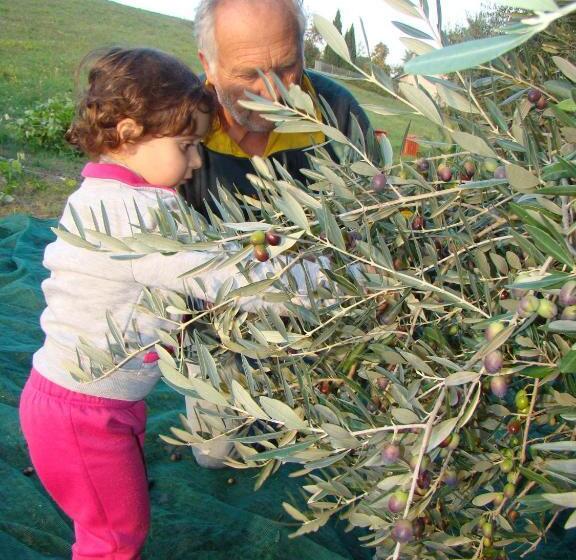בית מלון כפרי Agriturismo Vecchio Gelso