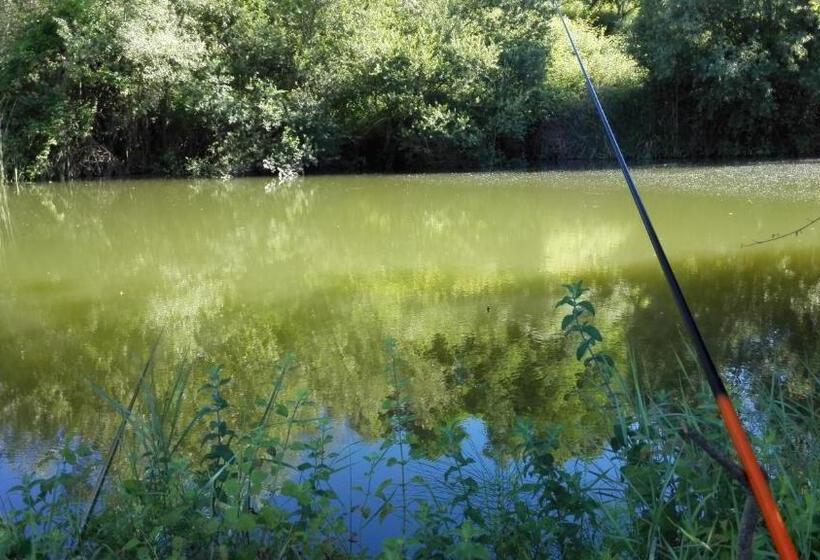 فندق Agriturismo Vecchio Gelso