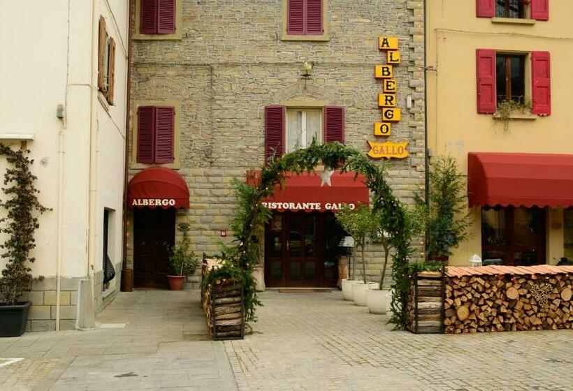酒店 Albergo Ristorante Gallo
