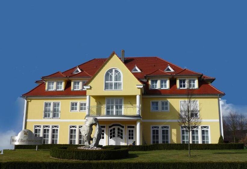Отель Bachwiesen