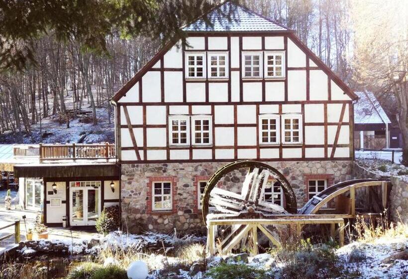 Отель Boltenmühle