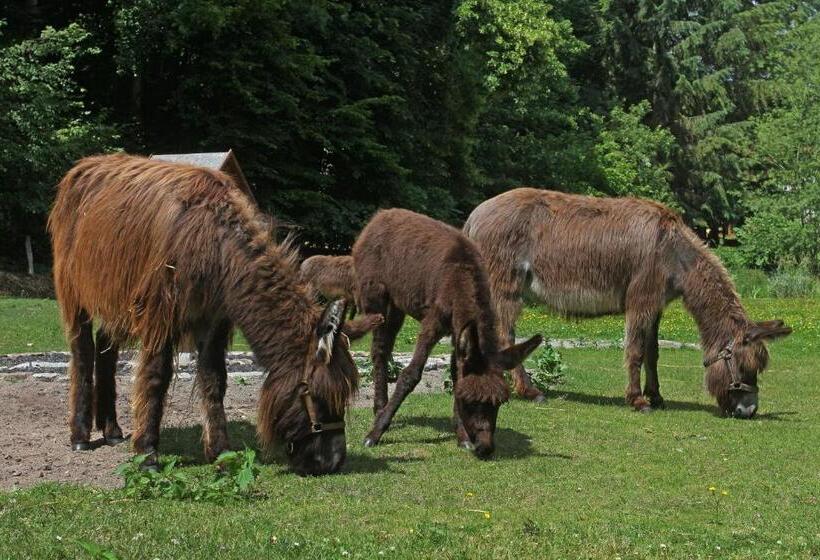 فندق Boltenmühle