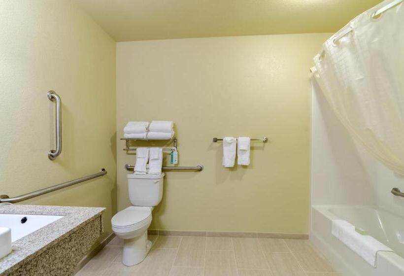 فندق Cobblestone Inn & Suites  Lakin