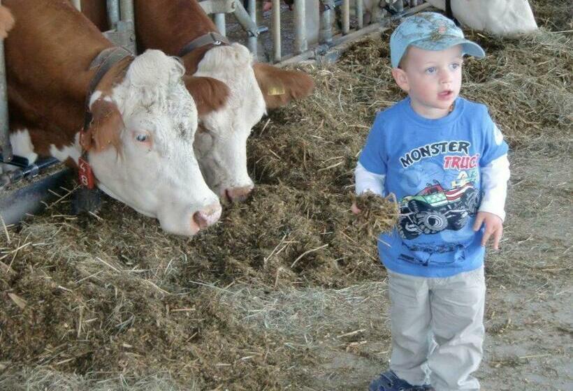 Отель Ferienhof Ring