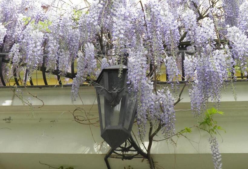 ホテル Fledermausschloss