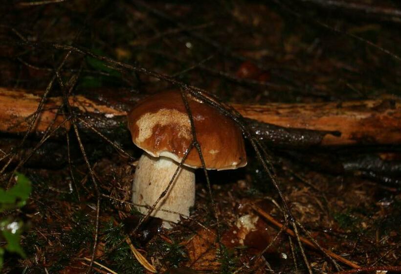 בית מלון כפרי Le Relais Du Vermont