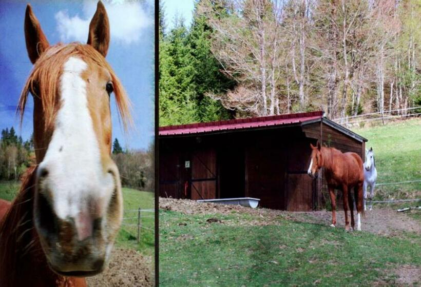 בית מלון כפרי Le Relais Du Vermont