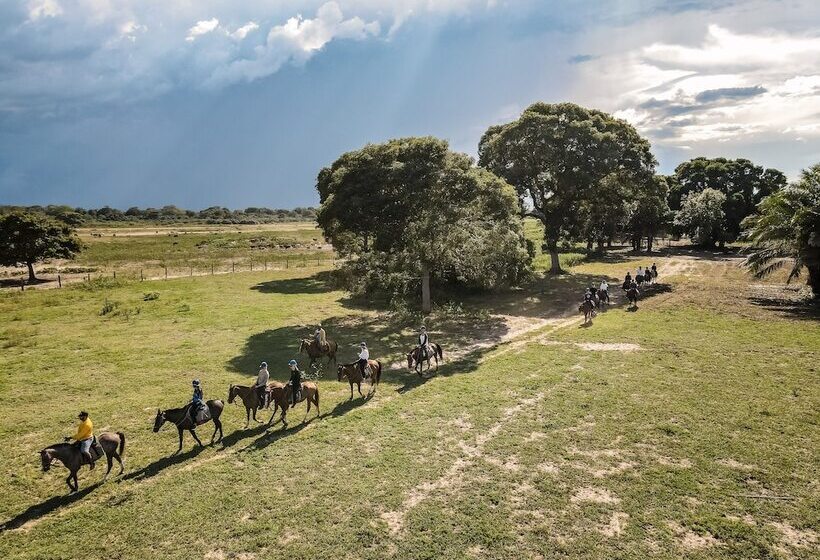 فندق Pantanal Jungle Lodge