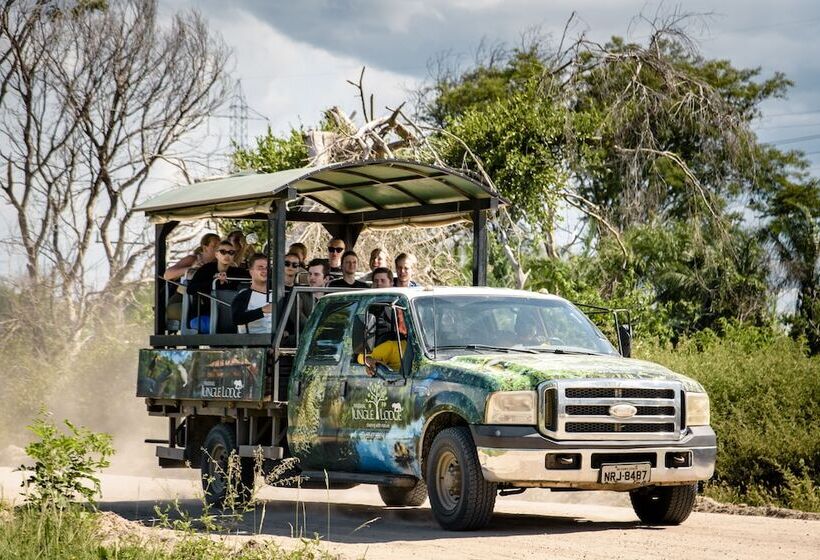 فندق Pantanal Jungle Lodge
