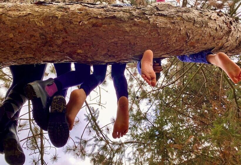 בית מלון כפרי Vanilla Hof