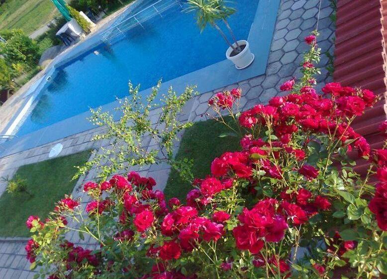 בית מלון כפרי Zenit Satovcha