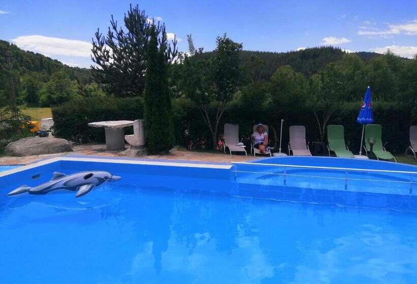 בית מלון כפרי Zenit Satovcha