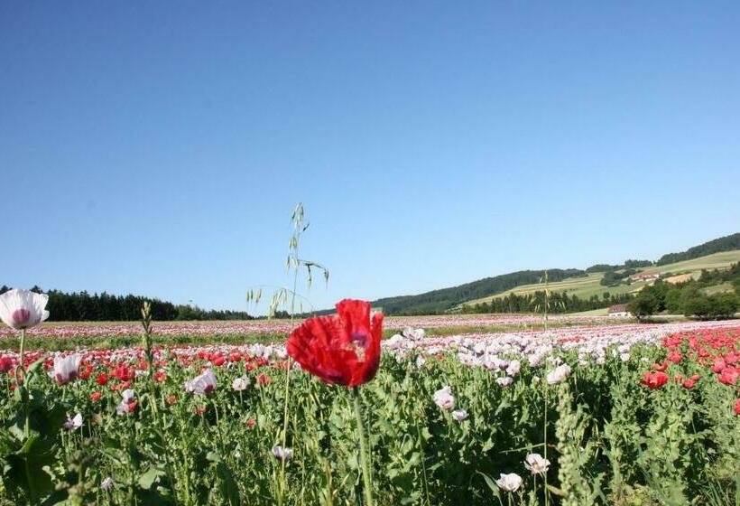 Mohnhotel   Bergwirt Schrammel