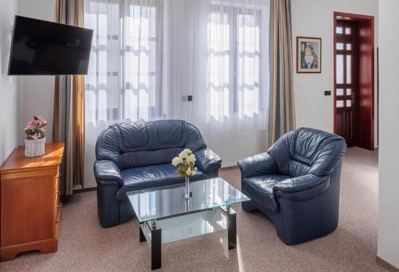 بنسيون 100 éves Fogadó