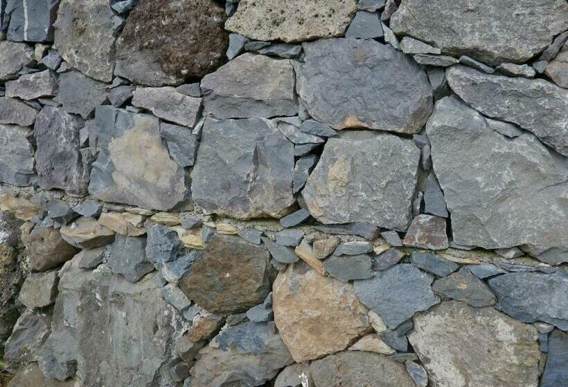 펜션 Alojamentos Flores Island