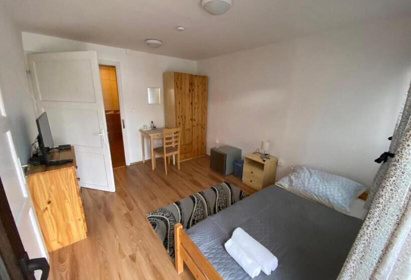 펜션 Aranyló Vendégház