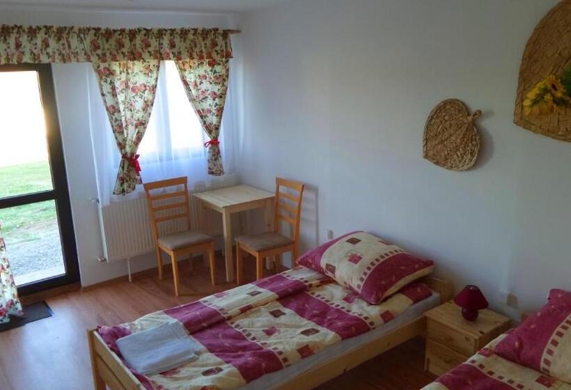 펜션 Aranyló Vendégház