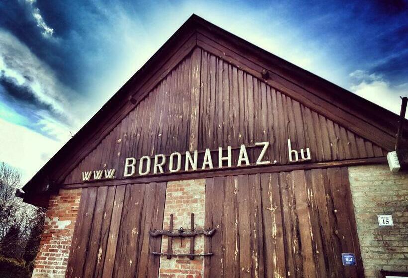 بنسيون Boronaház Fogadó