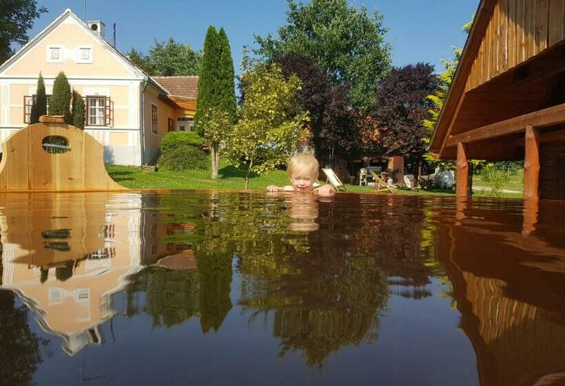 بنسيون Boronaház Fogadó