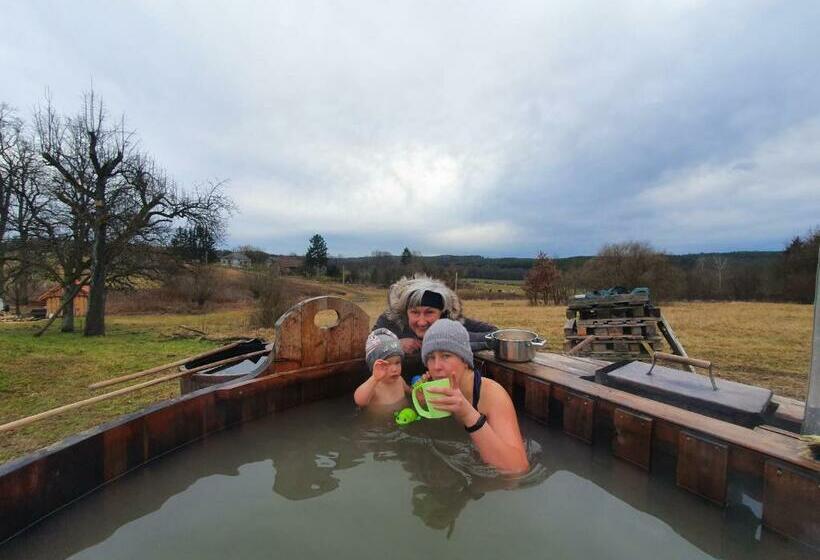 بنسيون Boronaház Fogadó