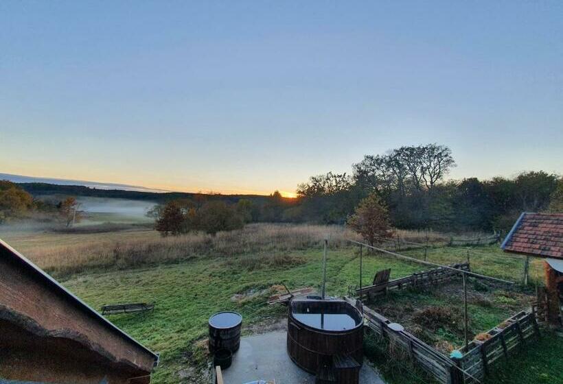 بنسيون Boronaház Fogadó