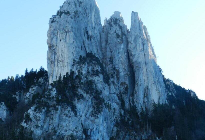 膳宿费 Chambre D Hôte Les Tourtereaux