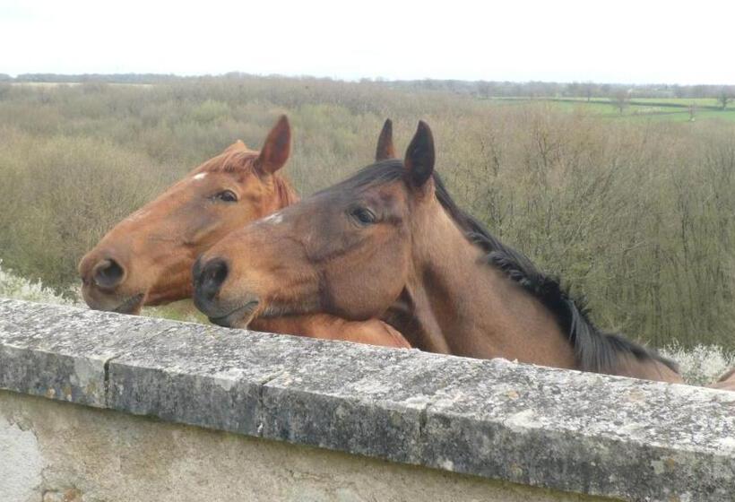 Пансион Domaine De Montgenoux