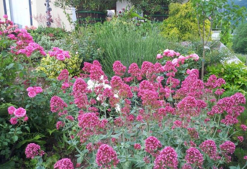 Пансион Ferienweingut Liebfried