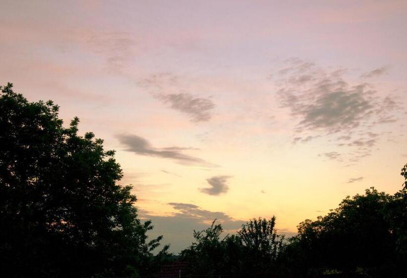 膳宿费 Vedra Guest House