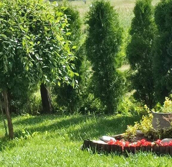 بنسيون Guest House Belchin View