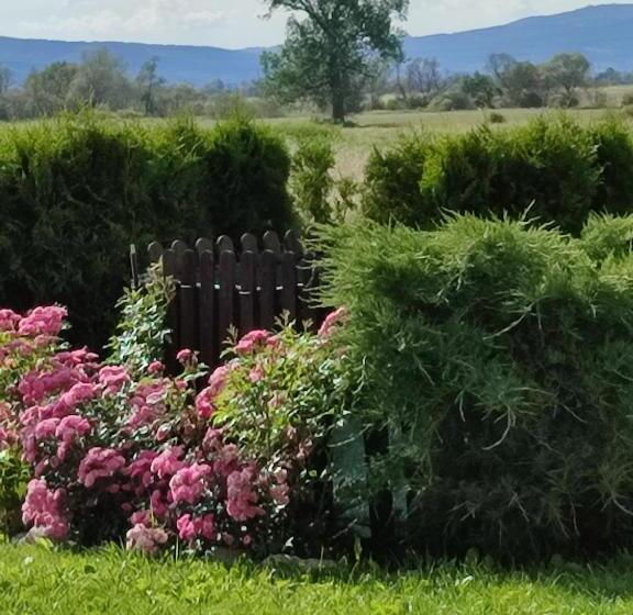 بنسيون Guest House Belchin View