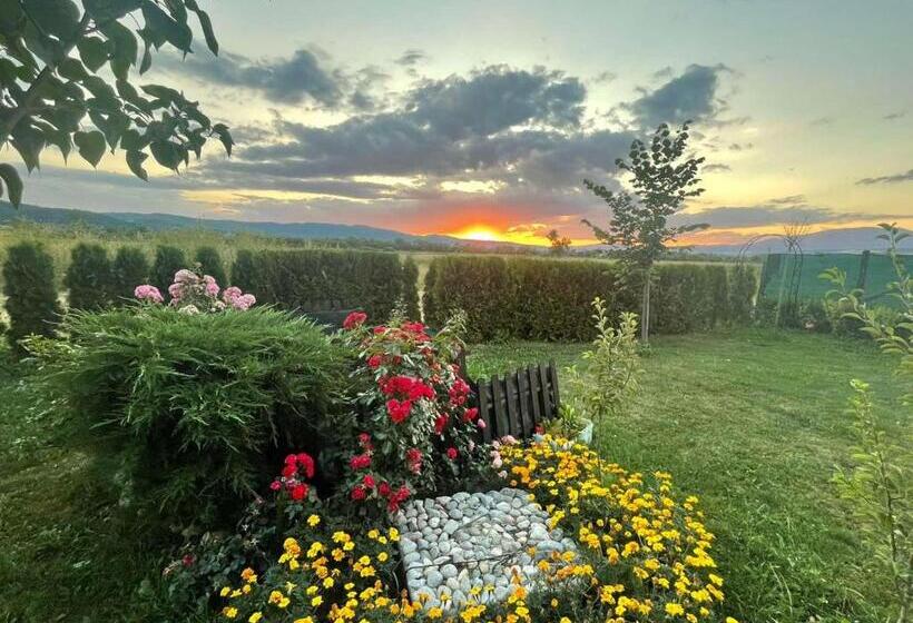 بنسيون Guest House Belchin View